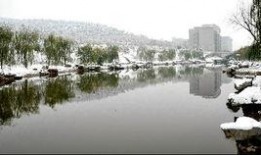 甲子湖最新爆料,揭秘湖中惊现神秘生物之谜