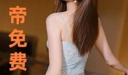 美女伦理手机在线观看,美女手机在线观看现象背后的真相