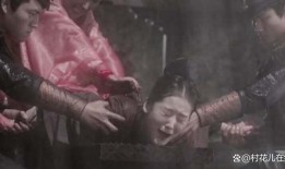 酷刑视频在线观看,在线观看视频背后的真相与警示