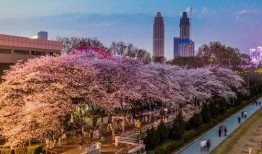 榆林吃瓜抖音网红,揭秘抖音美食界的“瓜王”传奇